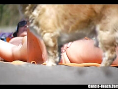 Любители, Большие сиськи, Зрелые, Милф, Мамочка, Голышом, На публике, Киски