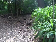 Amateur, Orgasmo, Al aire libre, Pov, Público, Coño, Afeitado, Tetas