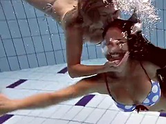 Блондинки, Брюнетки, Эротика, Бассейн, Русские, Спорт, Сиськи, Под водой