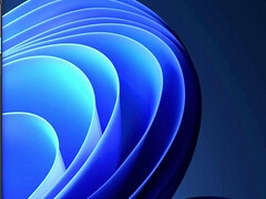 Leie, Schlampe, Paar, Selbstgemacht, Latina, Schlampe, Titten, Hure