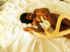 cutie From Bollywood Serpent Rising