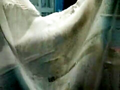 Gros seins, Blonde, Sucer une bite, Brunette brune, Européenne, Italienne, Masturbation, Mère que j'aimerais baiser