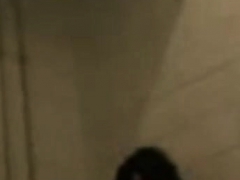 Amateur, Gorda, Madres para coger, Voyeur