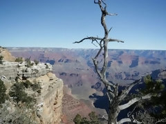 Брюнетки, Лизание, Натуральные сиськи, Киски, Рыжие, Сиськи