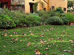 Chica, Animadora, Lesbiana, Lamidas, Coño, Adolescente, Tetas