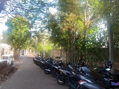 Cute Asian teenage having hard sex sex