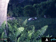 Gros seins, Brunette brune, Plantureuse, Hard, Lesbienne, Seins naturels, Suçant, Nénés