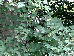 Blondine, Blasen, Gehörnter ehemann, Europäisch, Hd, Geld, Pov, Realität