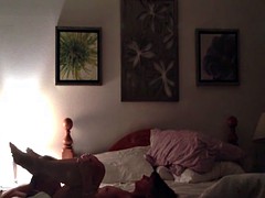 Любители, Секс без цензуры, Лизание, Молоденькие