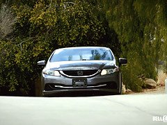 Grote kont, Grote lul, Hondjeshouding, Likken, Monster, Klein, Kut duiken, Anaal likken