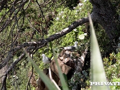 Busty Blonde MILF Kim Davis & Lilli Vanilli - Summertime Outdoor Threesome (4K) - Lilli vanilli cock sharing