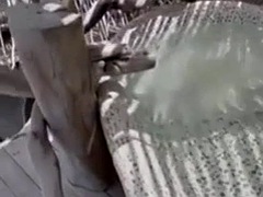 Amateur, Noire, Noir ébène, Hard, Interracial, Public, Chevaucher, Adolescente