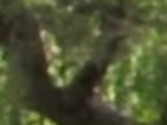 Leie, Blasen, Handjob, Masturbation, Im freien, Pov, Hintern versohlen, Weibliche ejakulation