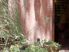 Cul, Tromperie, En levrette, Seins naturels, De plein air, Piercing, Timide, Tatouage