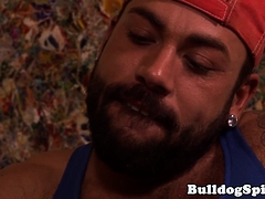 Homo, Hd, Masturbatie