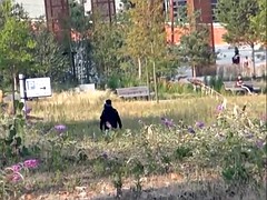 Красотки, Блондинки, Пальцем, Эксгибиционист, Мастурбация, На природе, Бритые, Под юбкой