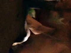 Leie, In den arsch, Blasen, Schwarz, Hardcore, Transfrau, Schlampe, Ablutschen