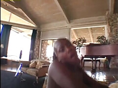 Анальный секс, Жопа, Большая жопа, Черные, Минет, Собачьи, Черненькие, Наездница