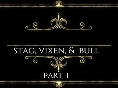 Kont, Lieveling, Grote kont, Grote mammen, Hardcore, Huisgemaakt, Interraciaal, Kut duiken