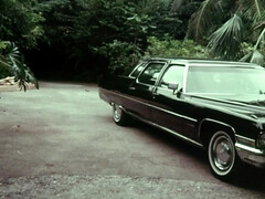 Arsch, Grosser arsch, Blondine, Blasen, Schwanz, Hd, Titten, Vintage