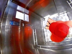 Садо мазо, Большие сиськи, Бондаж, Британки, Пухленькие, Толстые, Лесбиянка, Жесткий секс