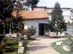 Grote kont, Grote mammen, Pijpbeurt, Bruinharig, Hardcore, Moeder die ik wil neuken, Kut duiken, Oud