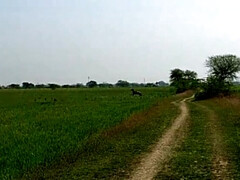 Gezichtzitten, Handbeurt, Hd, Indisch, Zoenen, Buiten, Openbaar, Zoon