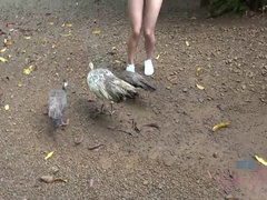 Strand, Schwarz, Orgasmus, Im freien, Pov, Öffentlich, Dürr, Spanner