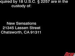 Grote kont, Grote mammen, Bruinharig, Rondborstig, Hardcore, Kut duiken, Tieten likken