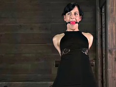 美女, ボンデージ, ゲイ