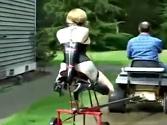 Amarrada