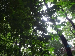 茶髪の, 顔射, 指いじり, 彼女, オーガズム, ハメ撮り, 公共, 濡れ