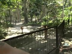 Arsch, Blondine, Besamung, Freundin, Pov, Muschi, Rasiert, Titten