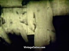 素人, メキシコ人, ヴィンテージ