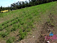 Kont, Grote kont, Gezichtspunt, Kut duiken, Tiener, Tieten likken