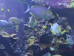 ビーチ, フェラチオ, 茶髪の, 指いじり, オーガズム, アウトドア, オッパイの, のぞき