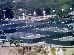 Tetas grandes, Polla, Penetracion con dedos, Peludo, Sexo duro, Besar, Madres para coger, Clasico