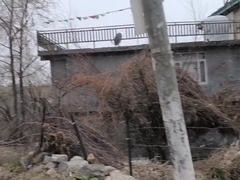 Asiático, Pareja, Polla, Enorme, Madres para coger, Desnudo, Desnudo, Tetas