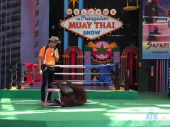 Amateur, Noire, Sucer une bite, Noir ébène, Faciale, Hard, Hd, Pov