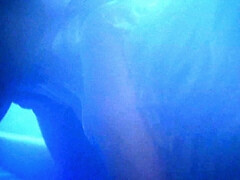 Amateur, Gros seins, Blonde, Sucer une bite, Branlette thaïlandaise, Hd, De plein air, Rétro ancien