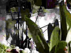 Culo, Rubia, Corridas, Sexo duro, Hd, Tetas naturales, Coño, Adolescente