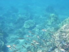 素人, ビーチ, フェラチオ, 爸, 彼女, 手コキする, アウトドア, 濡れ