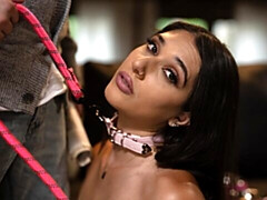 18 jaar, Grote kont, Grote lul, Grote mammen, Pijpbeurt, Bruinharig, Hondjeshouding, Tiener