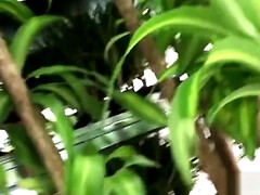 Africain, Américain, Gros cul, Classique, Queue, Noir ébène, Orgasme, Nénés