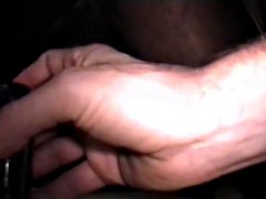 Grosser schwanz, Besamung, Interrassisch