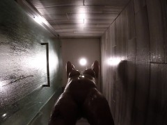 Culo, Hd, Ducha, Solo