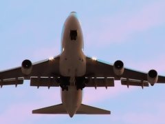 Garce, Sucer une bite, Brunette brune, Queue, Faciale, Lingerie, Nylon, Nénés