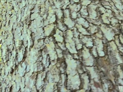 アナル, ズームショット, エクストリーム, マッサージ, オナニー, 公共, 一人, おもらし