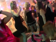 Leie, Schwarz, Spermaladung, Gruppe, Lingerie, Party, Ablutschen, Swingers