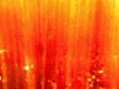 18, 家族, 毛深い, Hd, キッチン, 女子高生, 息子, 妻